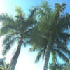epkam2003